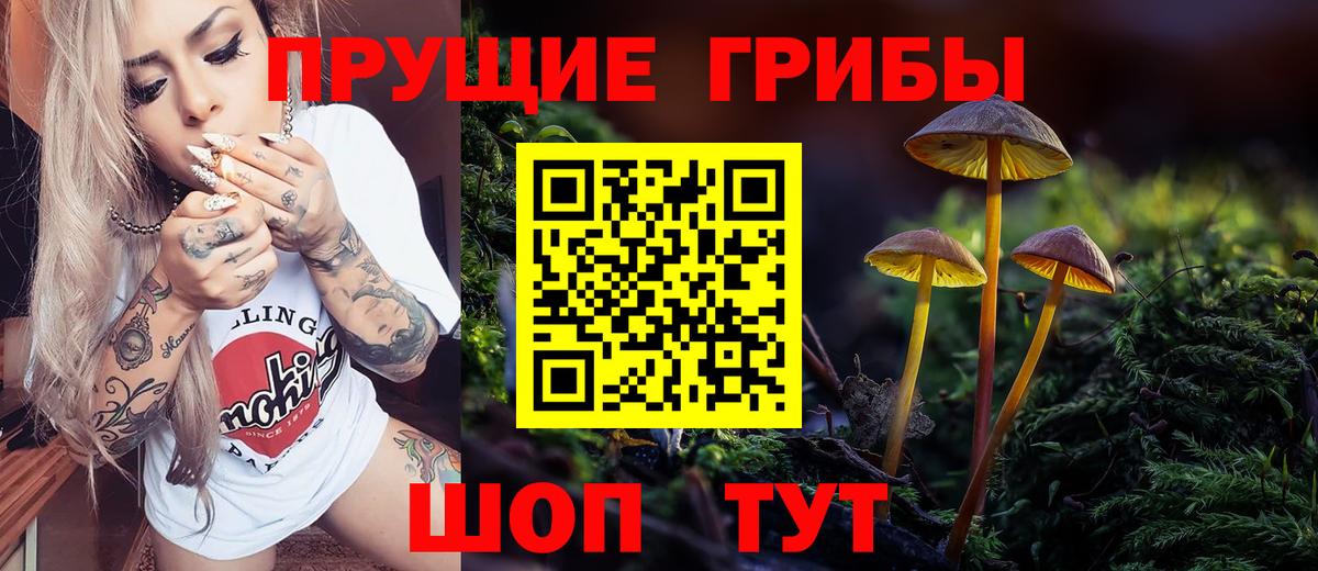 Галлюциногенные грибы Psilocybine cubensis Ростов Великий