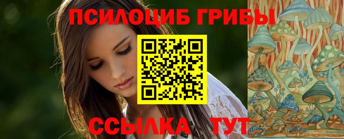 Ростов Великий  Галлюциногенные грибы Magic Shrooms  Вход с VPN 